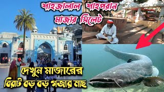 শাহজালাল ও শাহপরান মাজার সিলেট ভ্রমণ  দেখুন সিলেটের মাজার শরিফ  Shahjalal Shah Poran Mazar Sylhet [upl. by Ainoz19]