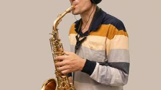 Yanagisawa AWO20 Alto Sax [upl. by Nnayllas]