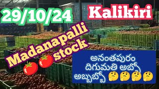 October 29 2024B మదనపల్లి మార్కెట్ 🍅🍅దిగుమతిkalikiri tamotoprice sayyadshahataj2000 [upl. by Hgielra62]