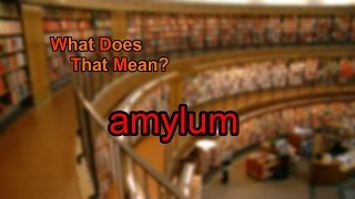 What does amylum mean [upl. by Fritts335]