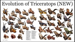 Evolution of Triceratops LIVE Lecture with QampA [upl. by Ettenajna556]