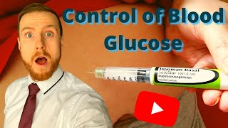 HOMEOSTASIS Control of Blood Glucose AQA ALevel Biology [upl. by Edlyn215]