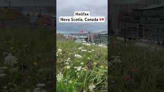 Halifax is the capital and most populous municipality of the Canadian province of Nova Scotia [upl. by Florrie]