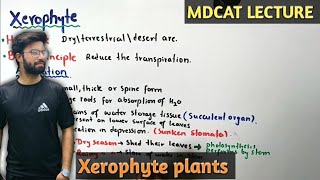 Xerophytes  NMDCAT 2021 [upl. by Karas]