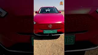 MG ZS EV कैसे चार्ज करते हैं ⚡ytshort ev mgzsev charging [upl. by Eiznikam]