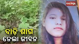 Family falls sick after eating green leafy vegetable in Sundargarh District One dead  Kalinga TV [upl. by Eynenihc123]