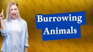 Which animals are called burrowing animals [upl. by Bryant687]