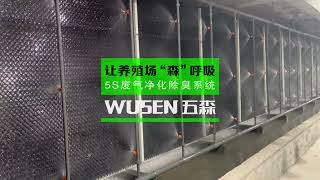 Poultry Deodorization Evaporative Water Fill Wall Wet Curtain Cooling Pad Air Containment System [upl. by Odnolor]