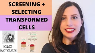 SCREENING amp SELECTING TRANSFORMED CELLS Help with in vivo cloning for Alevel Biology [upl. by Aldrich622]