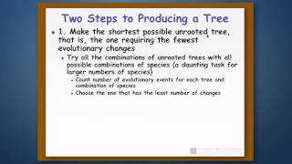 Phylogenetic Reconstruction Part 2 — Parsimony [upl. by Blodget]