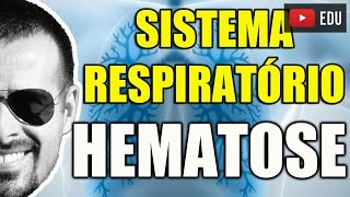 Vídeo Aula 105  Anatomia Humana  Sistema Respiratório  Hematose A Troca de Gases nos Pulmões [upl. by Yevre]