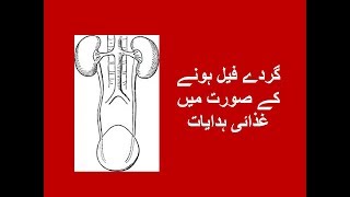 Diet in Kidney Disease in Urdu [upl. by Eninotna184]