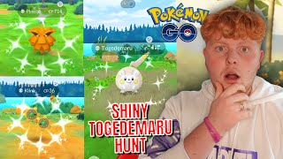 AMAZING Shiny Rate SHINY Togedamaru Hunt Pokémon Go [upl. by Ymirej]