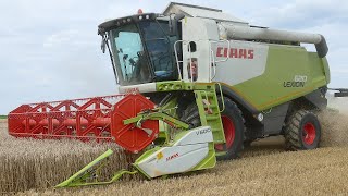 Mission Getreideernte 2024 💪 Claas Lexion und Fendt 820 Vario im Einsatz [upl. by Valeta875]