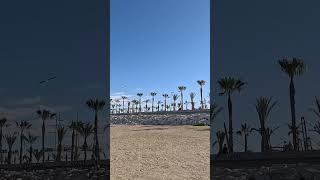 4K Malaga Spain 🇪🇸  Walking Tour Costa Del Sol  April 2024 [upl. by Milford]