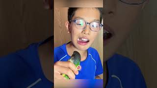 Boy Uses Parrot for Tooth Extraction [upl. by Lesig]