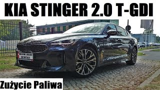 2017 Kia Stinger 20 TGDI 245 KM Zużycie Paliwa  Consumption [upl. by Rfinnej]