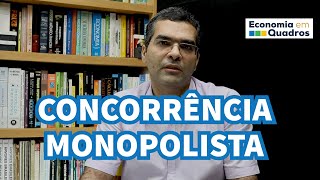 CONCORRÊNCIA MONOPOLISTA  Entenda os termos econômicos [upl. by Lowry]