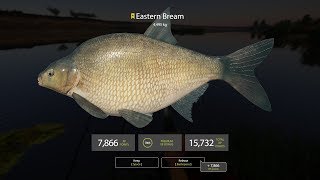 Russian Fishing 4 ★ 冠軍東方歐鯿Trophy Eastern Bream魚點spot 20190722 [upl. by Ennoirb]