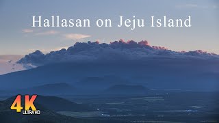 4K Hiking Hallasan National Park Jeju Island │ Beautiful Mountain │ Ambience sounds [upl. by Sukul554]