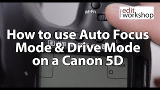 How to use Auto Focus Mode amp Drive Mode on a Canon 5D [upl. by Alicec]