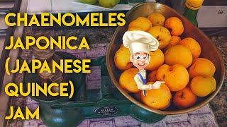 Chaenomeles Japanese Quince Jam Recipe [upl. by Ykcor]