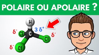 Molécule polaire ou apolaire  ✏️ Exercice  1ère  Physique Chimie [upl. by Harrie]