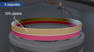 Apheresis donation how does it work [upl. by Belldas]