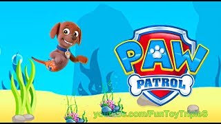 Paw Patrol paw merpups rescue mission  Zuma [upl. by Aicilana121]