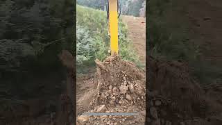 Satisfying Process Of Mechanically Digging Medical Plant Roots [upl. by Bergman761]