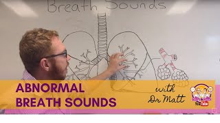 Abnormal Breath Sounds  Respiratory System [upl. by Nsaj]