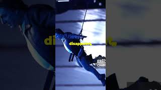 Tom Cruises Epic Stunt at Olympics Closing Ceremony tomcruise ParisOlympics2024 olympics [upl. by Frisse579]