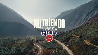 Nutriendo al Perú con Gloria Un programa para combatir la anemia [upl. by Dorsman182]