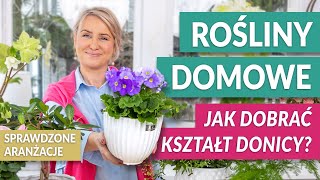 ROŚLINY DONICZKOWE Jak dobrać kształt donicy do roślin domowych Stylowe aranżacje  GREEN CANOE [upl. by Cohberg]