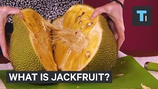 What is jackfruit [upl. by Oratnek]