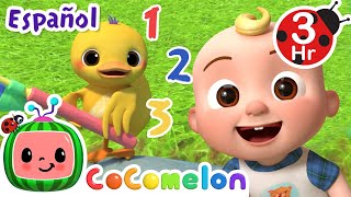 Cuenta los patitos🐤  CoComelon y los animales 🍉 Caricaturas para niños  Español Latino [upl. by Blanding342]