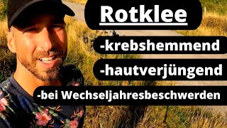 Rotklee und Phytoöstrogene bei Wechseljahresbeschwerdenund vorbeugend für Mann und Frau [upl. by Teressa]