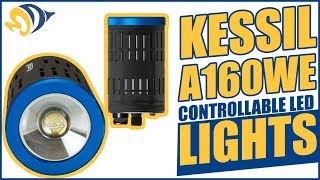 Kessil A160WE Controllable LED Lights What YOU Need to Know [upl. by Egroj]