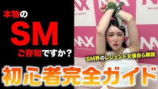 【SM入門】SMプレイをしたい方は必ず見てください！【完全解説】 [upl. by Groh]