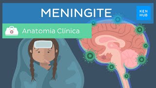 Meningite Definição tipos sintomas diagnóstico e tratamento  Kenhub [upl. by Calbert]