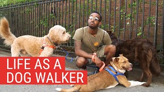 Making It in NYC as a Dog Walker  My Everyday Hustle  Chasing the Dream PBS [upl. by Hendrick]