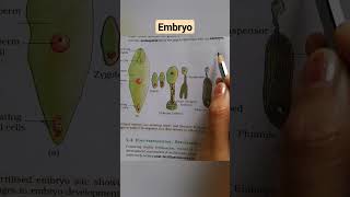 embryo in plants medical education neet biology shorts youtubeshorts short [upl. by Kaule710]