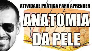 Anatomia da Pele Atividade prática para aprender Dermatologia  Anatomia Humana  VideoAula 037 [upl. by Halsted481]