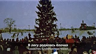 „Im Walde steht ein Tannenbaum“ В лесу роди́лась ёлочка russisches Weihnachtslied [upl. by Ahtenek]