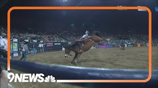 Rodeo cowboy recovering from serious injuries after fall at National Western Stock Show [upl. by Enidaj903]