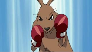 Ninja kangarooscomedycomedyvideo kangaroo [upl. by Parrie280]