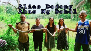 King Cobra Killed Our Grandpa Kasama Namin Si Alias Dodong Ahas Ng Bohol Sa Paghahanap Ng quotBANAKONquot [upl. by Aitnahc]