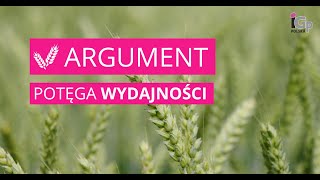 🌱 Pszenica ozima ARGUMENT [upl. by Auot]