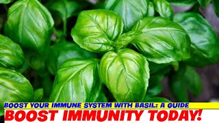 Boost Your Immune System with Basil A Guide [upl. by Collbaith]