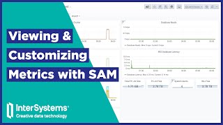 Viewing amp Customizing Metrics with SAM [upl. by Niledam628]